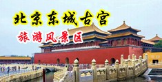 棒子抽插流水中国北京-东城古宫旅游风景区